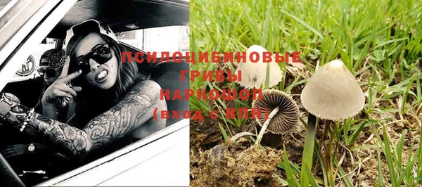 гашик Краснослободск