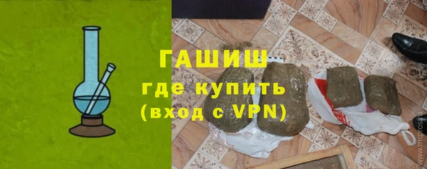 гашик Краснослободск