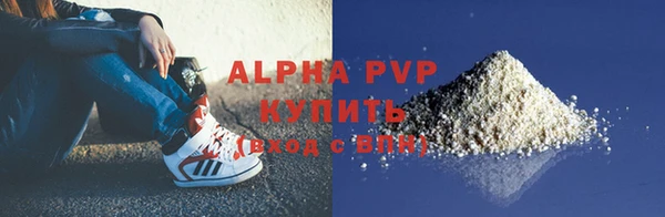 гашик Краснослободск