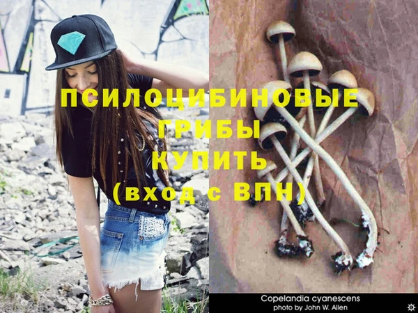 гашик Краснослободск