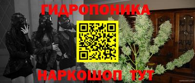 кристаллы Гусь-Хрустальный
