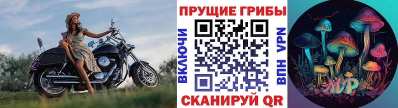 Галлюциногенные грибы Cubensis  Луховицы 