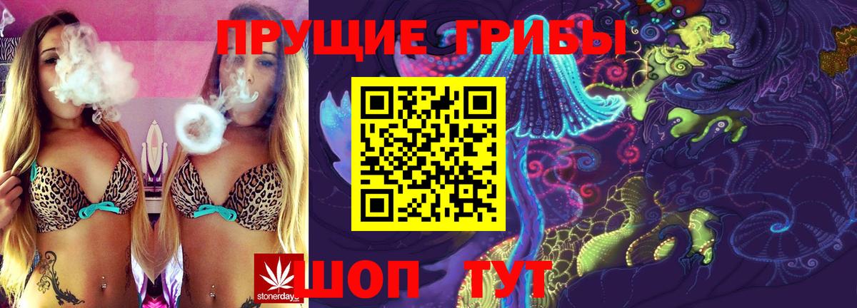 Псилоцибиновые грибы Cubensis Луховицы